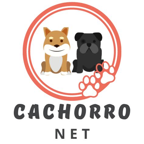 cachorro net site